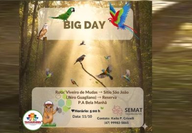 Taquarussu participa do Global Big Day 2025
