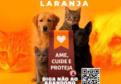 Mês de combate aos maus tratos de animais